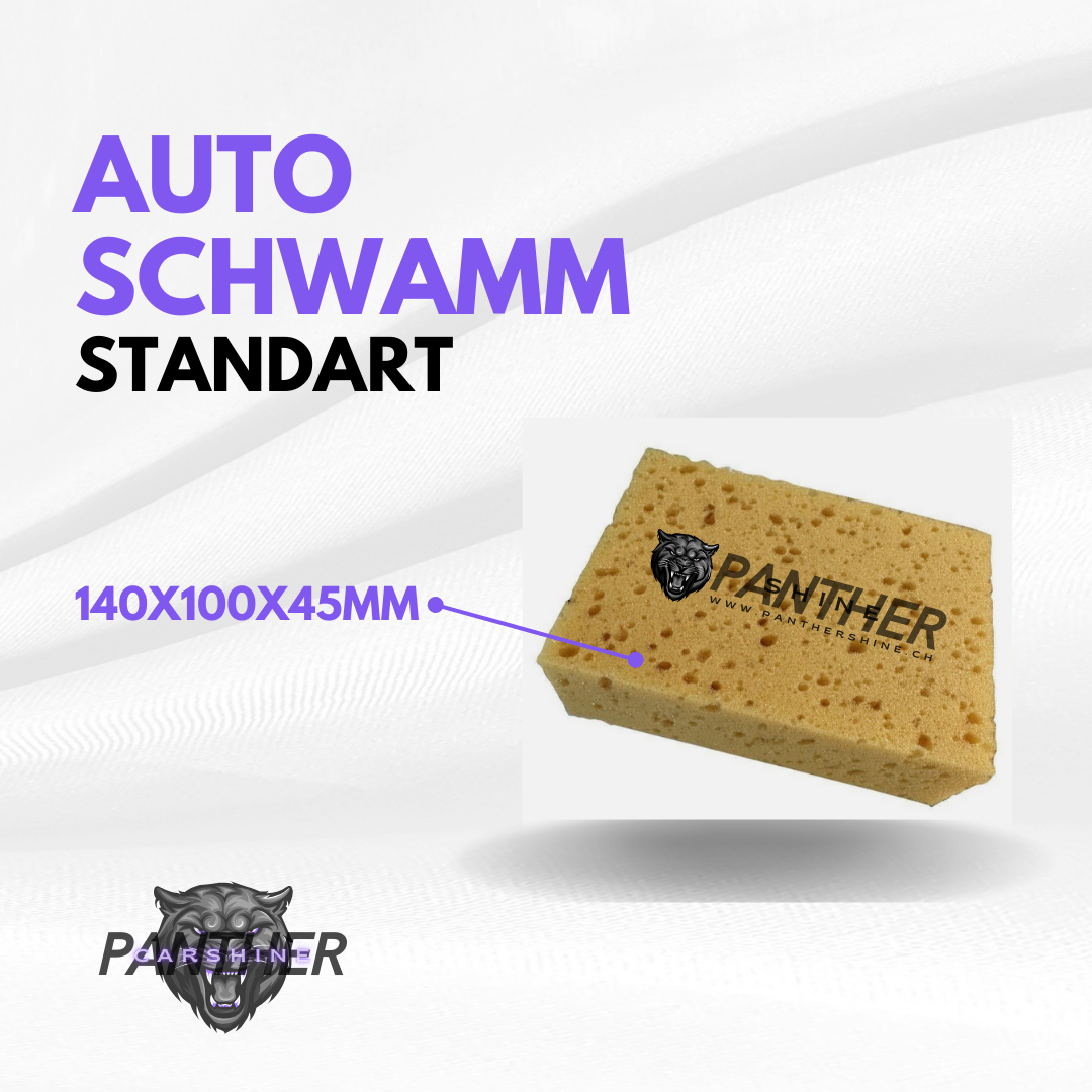 Autoschwamm 140x100x45mm